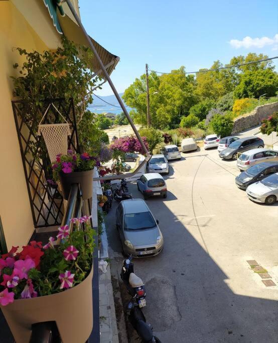 Xenofon'S Cozy Apartment Corfu  Eksteriør bilde