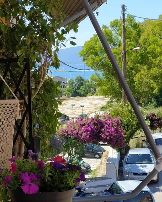 Xenofon'S Cozy Apartment Corfu  Eksteriør bilde